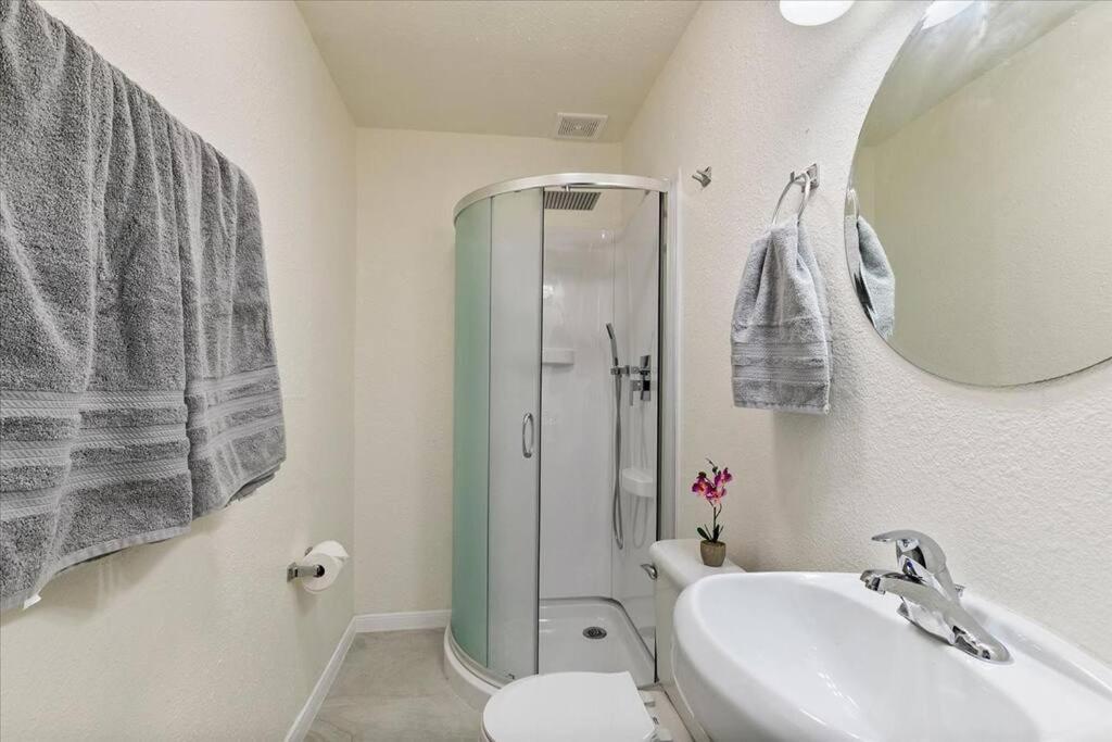 Lucky House - Tranquility In The Middle Of Houston - Tv In Every Room - 300 M2 מראה חיצוני תמונה